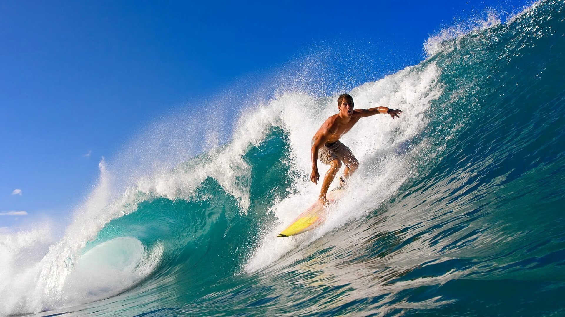 开云体育网页入口-激烈角逐激发全民热情，激烈角逐的句子